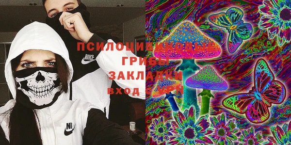 дурь Кукмор