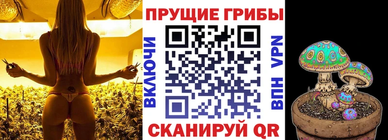 Псилоцибиновые грибы прущие грибы  Ленинск-Кузнецкий 
