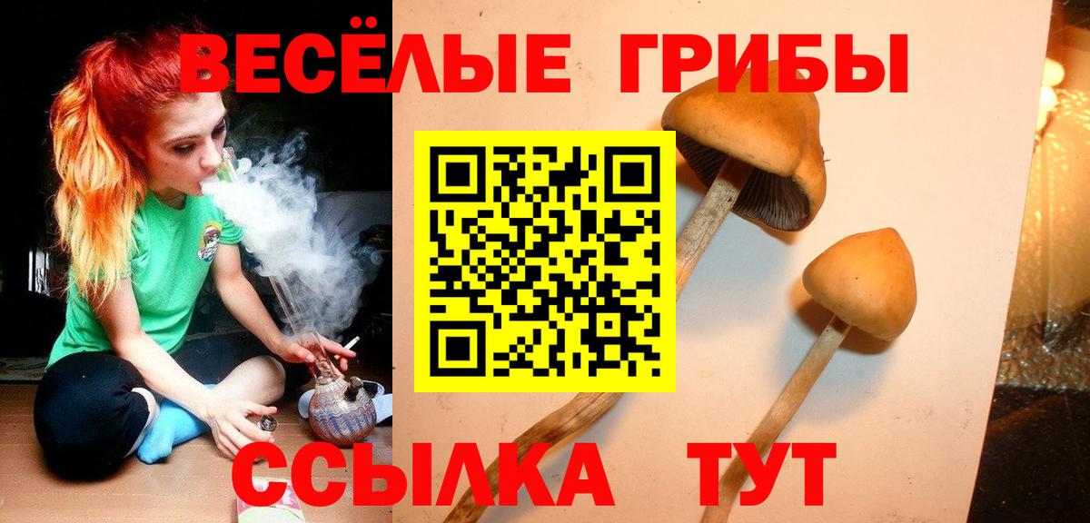 Ленинск-Кузнецкий  Галлюциногенные грибы Cubensis  Вход с VPN 