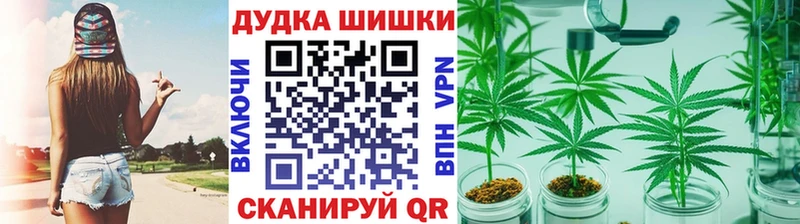 Бошки марихуана Bruce Banner  Ленинск-Кузнецкий 